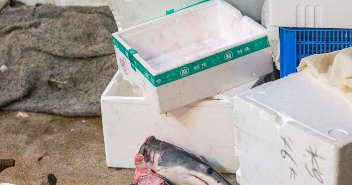 Vi er der for alle dyr Dyrenes Beskyttelse