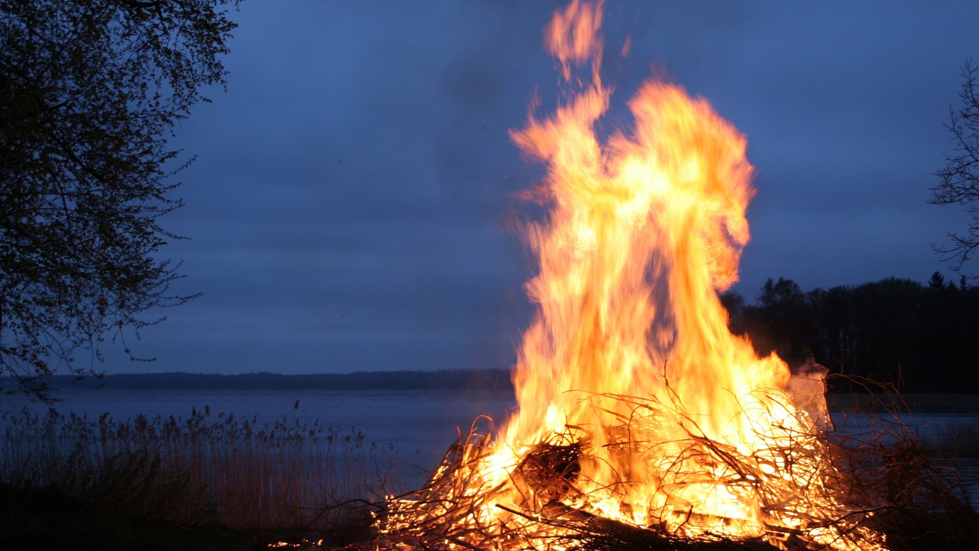 Mange dyr fanges i Sankt Hans bålets flammer