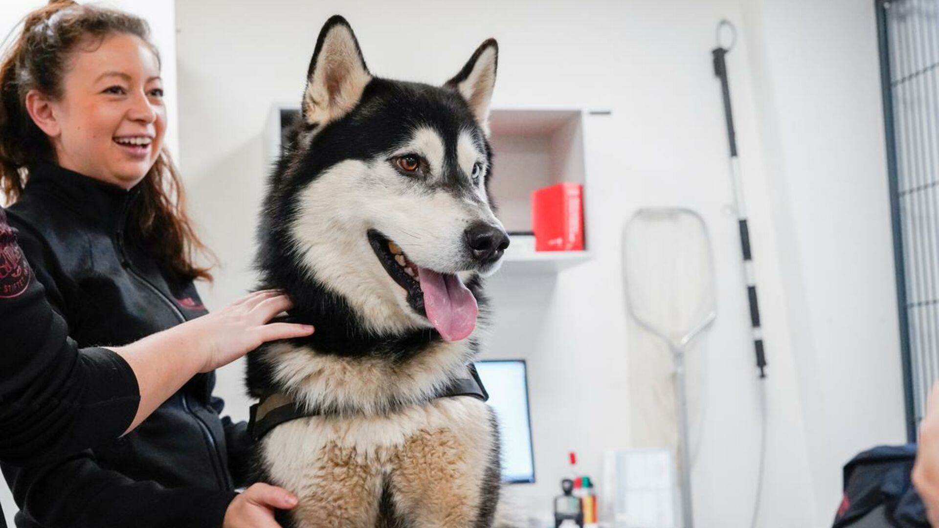 I februar fik hunden Thor nyt hjem efter at have boet på Dyrenes Beskyttelses internat og pension i Nordjylland