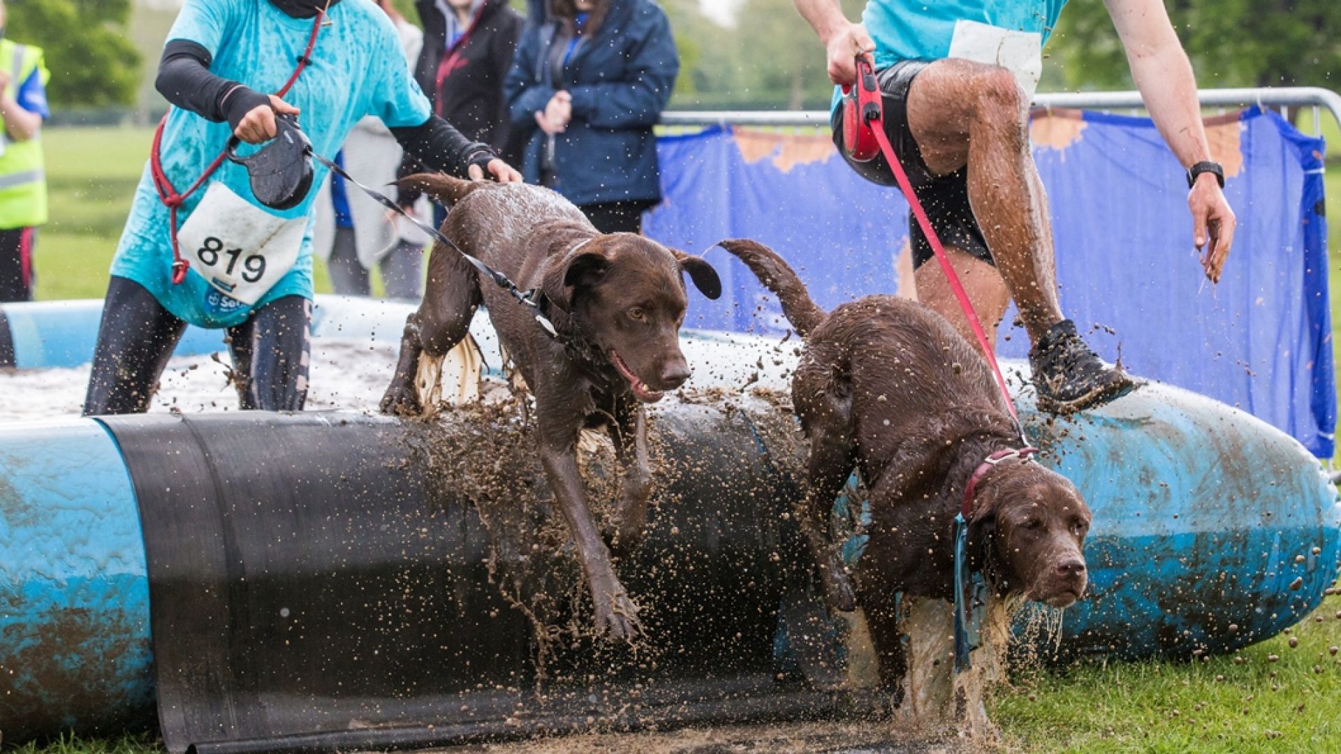 Muddy Dog for aktive hunde og deres ejere