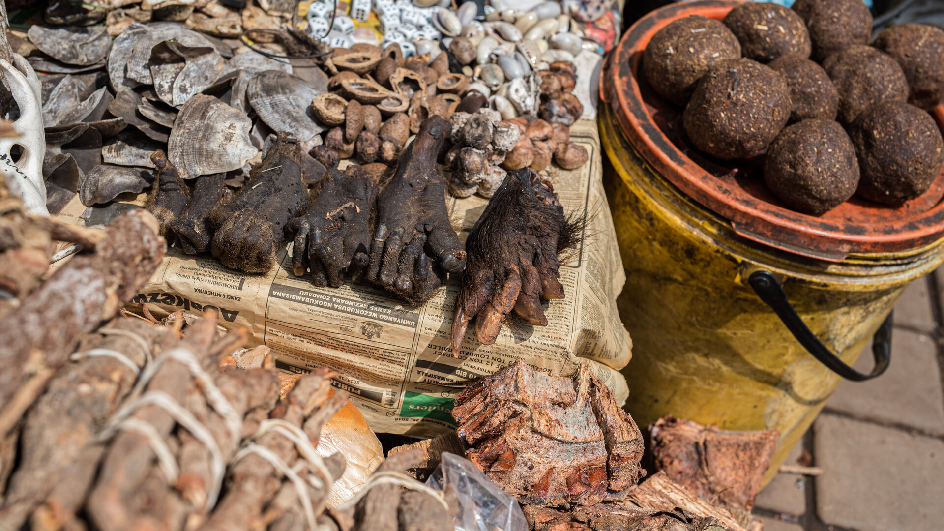 Abekød er blandt det mest populære bushmeat