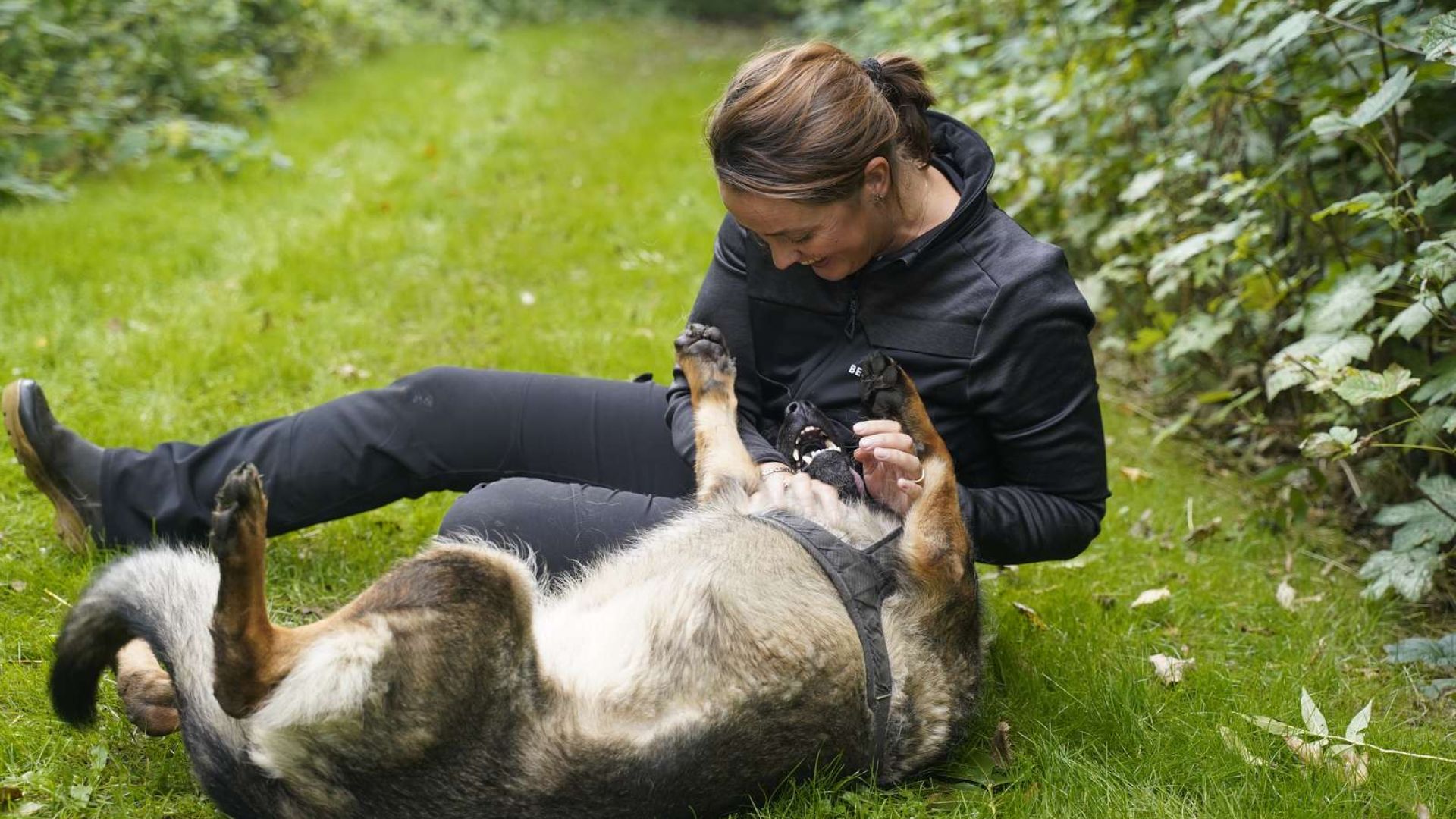 Forskellige typer hunde til forskellige ejere