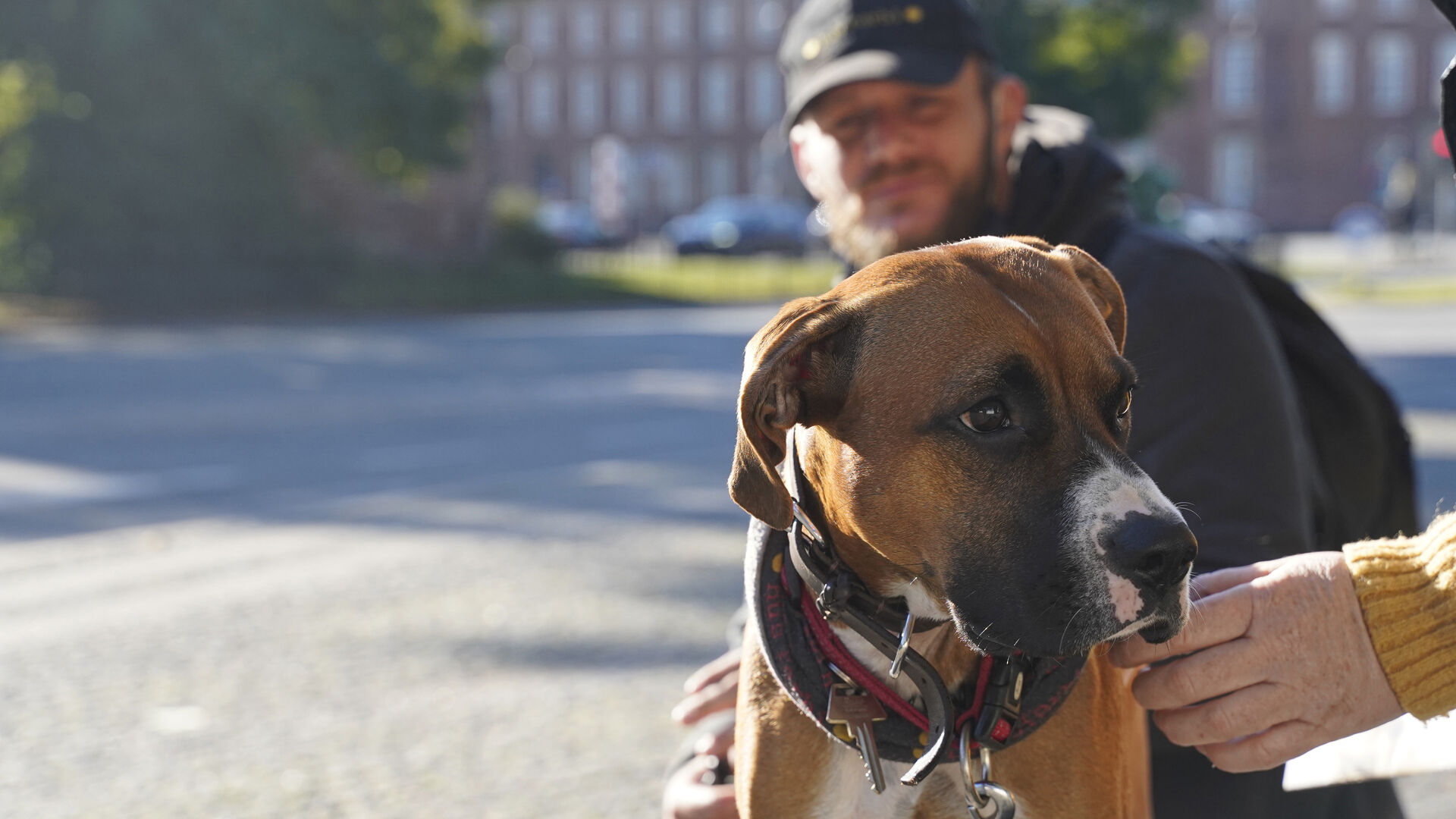 Til årets Hjemløsedag fik flere hjemløse hundeejere tilset deres hunde