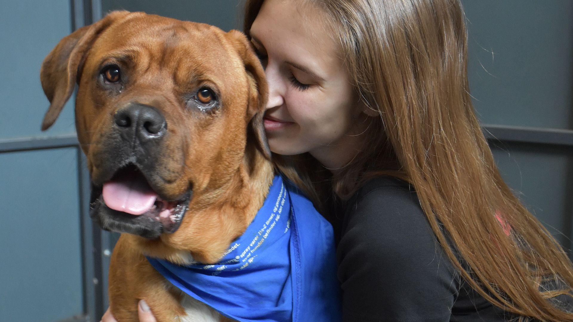 Foto: Cathrine Cocks Hunden Vera får et knus på Nordjyllands Internat