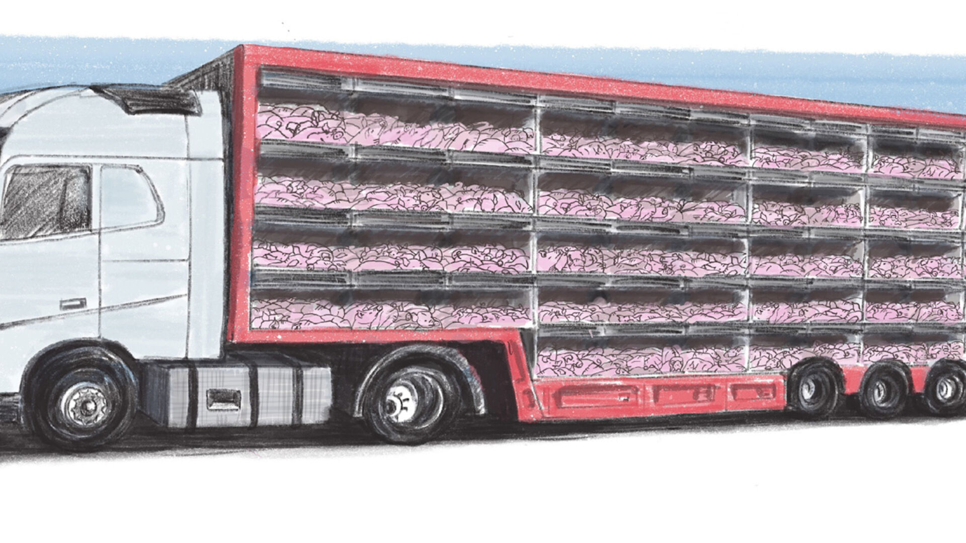 Illustration af grisetransport i fem etager