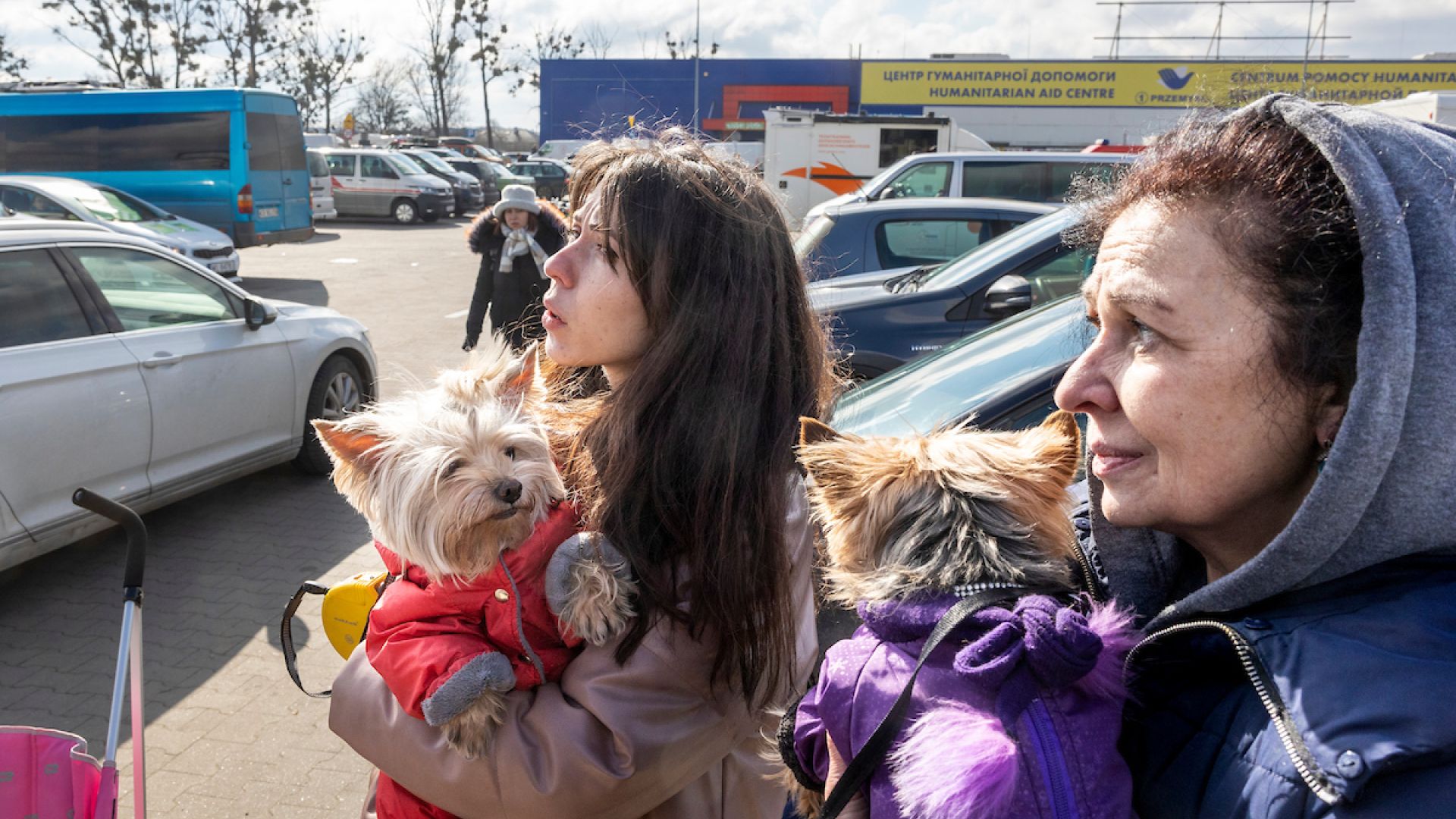 Foto: Kristian Brasen Flygtninge med hunde