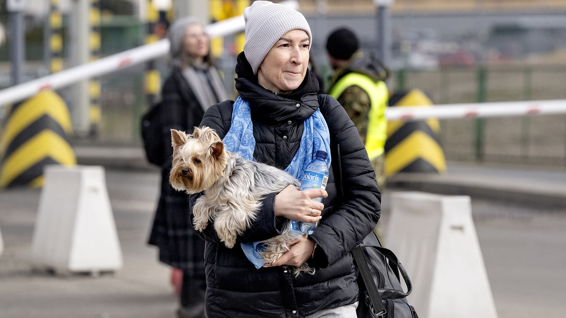 Flygtning med hund