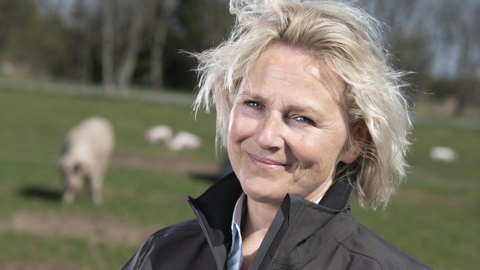 Foto: Christer Holte direktør Britta Riis med frilandsgrise i baggrunden
