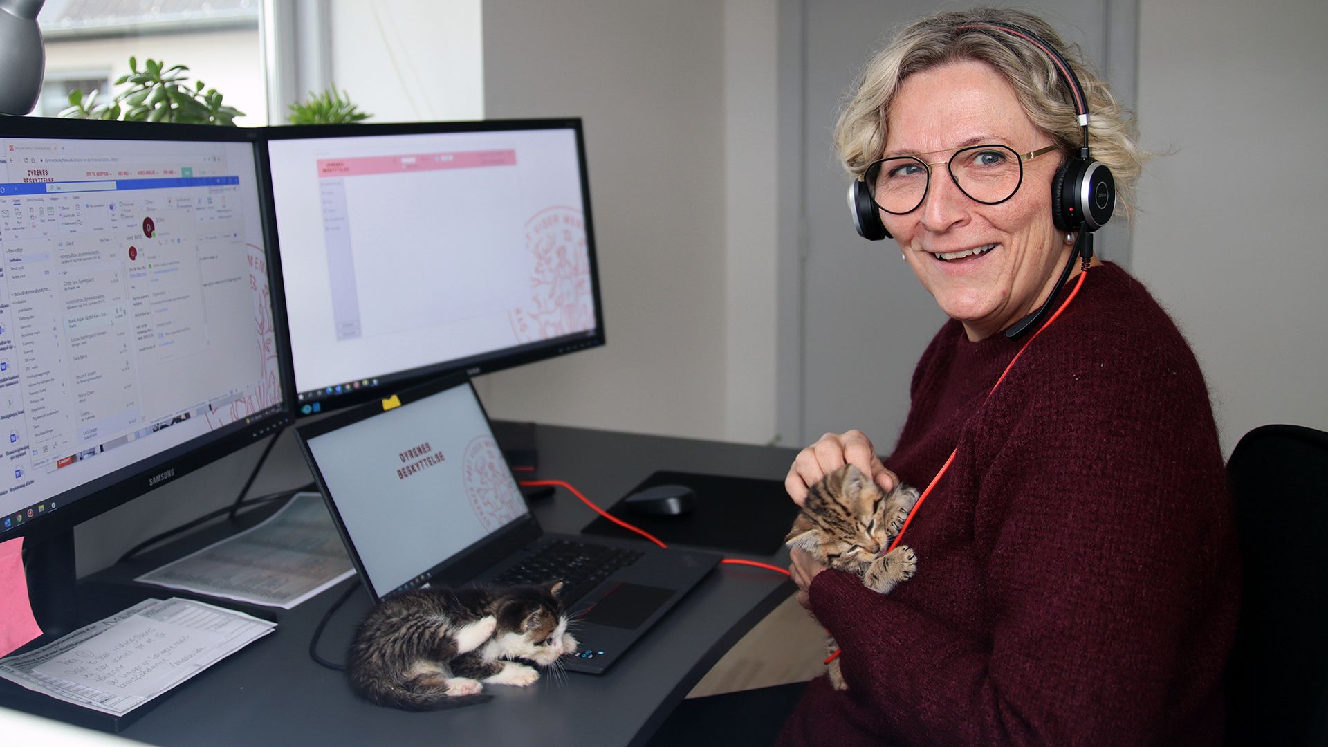 Fotos: Stine Skov-Jensen Frivillig på internatet i Århus passer telefonen - med to killinger på skødet