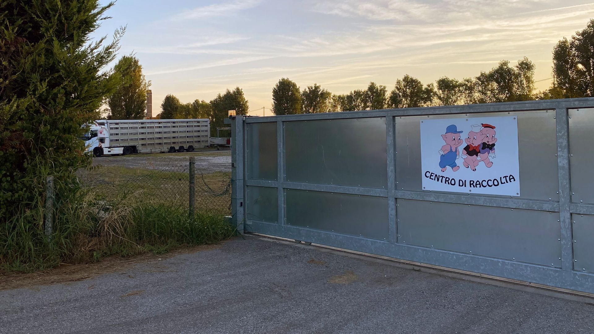 Stor stålport med et skilt, hvor Disneys Tre små gris går glade afsted. I baggrunden ses en grisetransport i fem etager