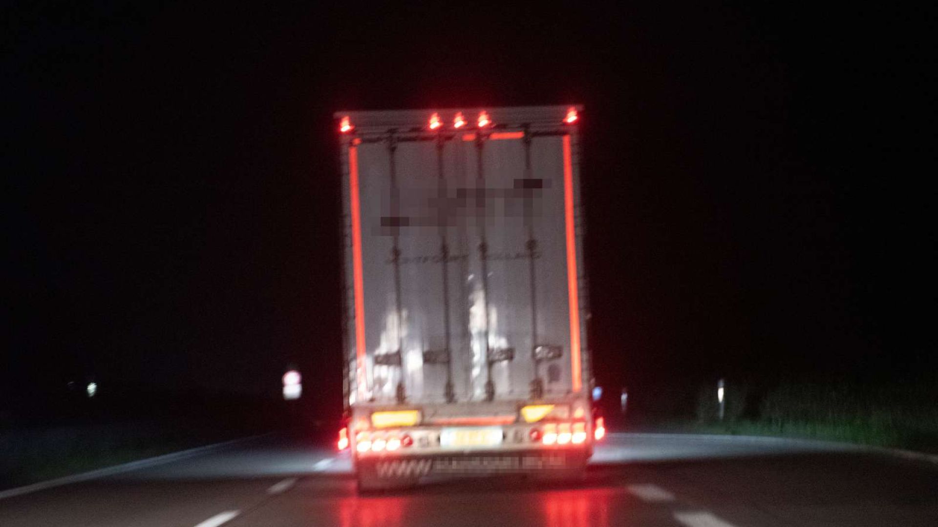 Kalve transporteres ubarmhjertigt på lange transporter ud af landet. Foto: Dyrenes Beskyttelse. Transport med kalve