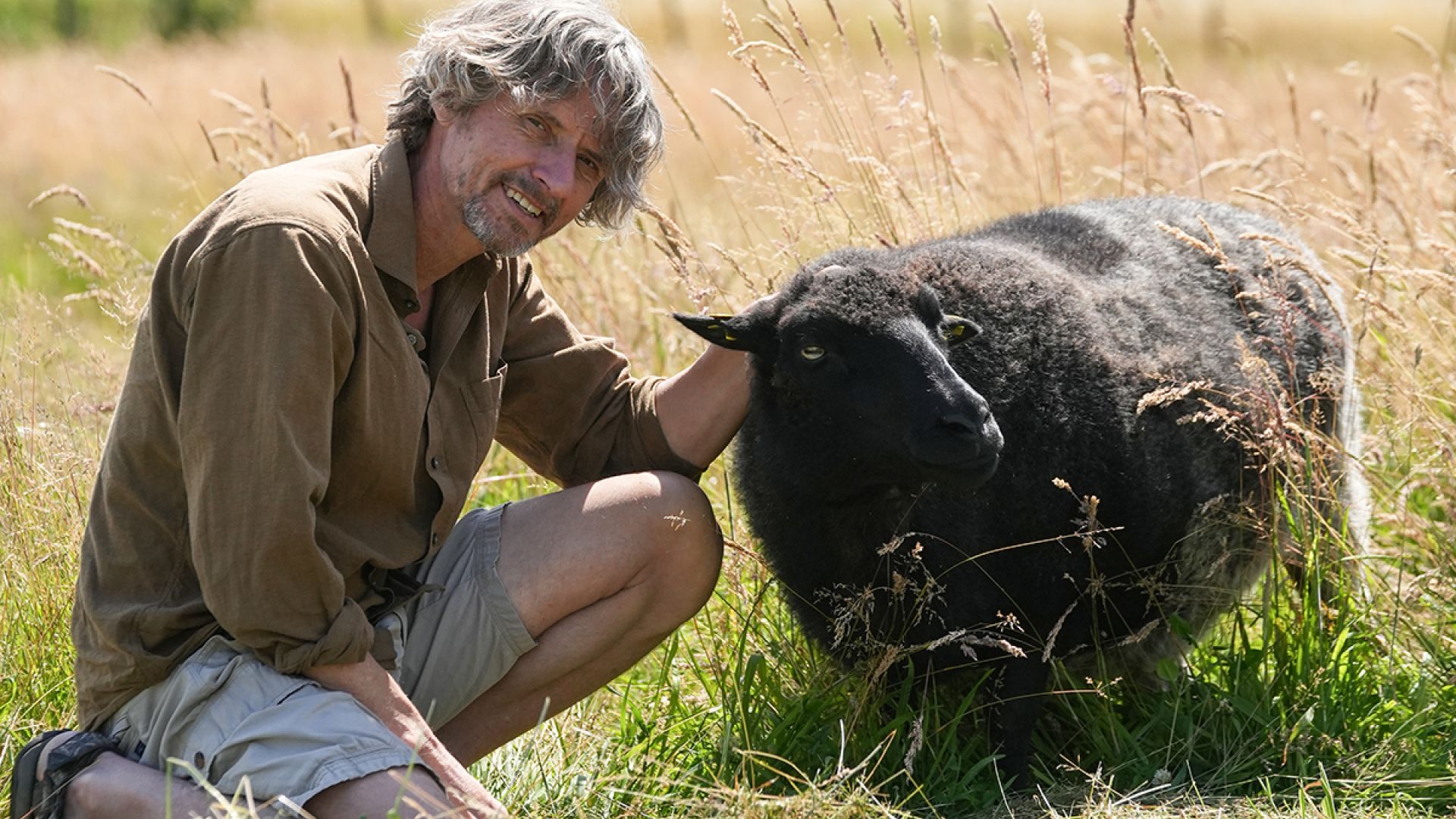Søren Stig Andersen er jurist. En uddannelse, som han valgte for dyrene. Her er han på besøg hos fårene på Elmegaarden, et fristed for dyr, der er reddet fra produktionen. Foto: Thomas Degner Billede af Søren Stig Andersen og et får