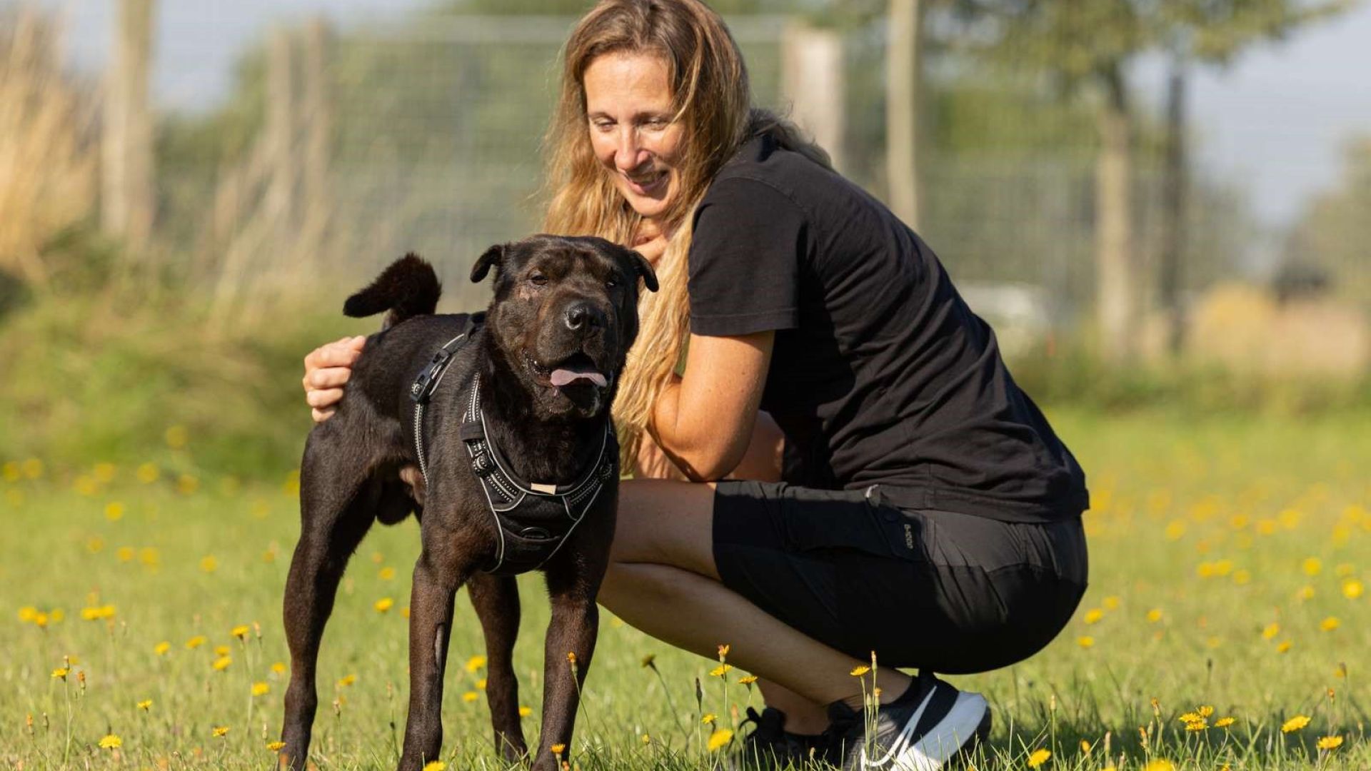 At adoptere et dyr kan være udfordrende. Især når dyret har oplevet meget. Alligevel er Max' nye familie sikre på, at indsatsen er det hele værd. Foto: Dyrenes Beskyttelse Billede af Max med internatleder Nadja Frandsen