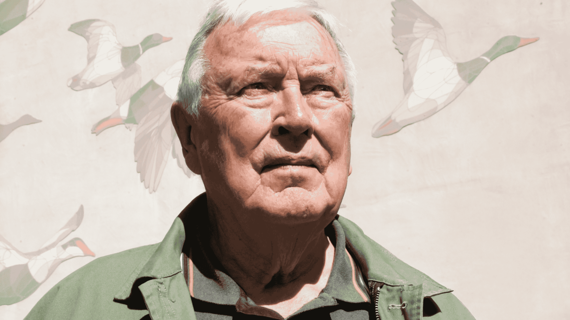 81-årige Jørn Neerup Rørvang er pensioneret beredskabsinspektør, men er fortsat aktiv som kredsformand, områdeformand og vicepræsident hos Dyrenes Beskyttelse. Foto: Thomas Degner. Jørn Rørvang står foran en væg med påmalede, flyvende ænder bag sig