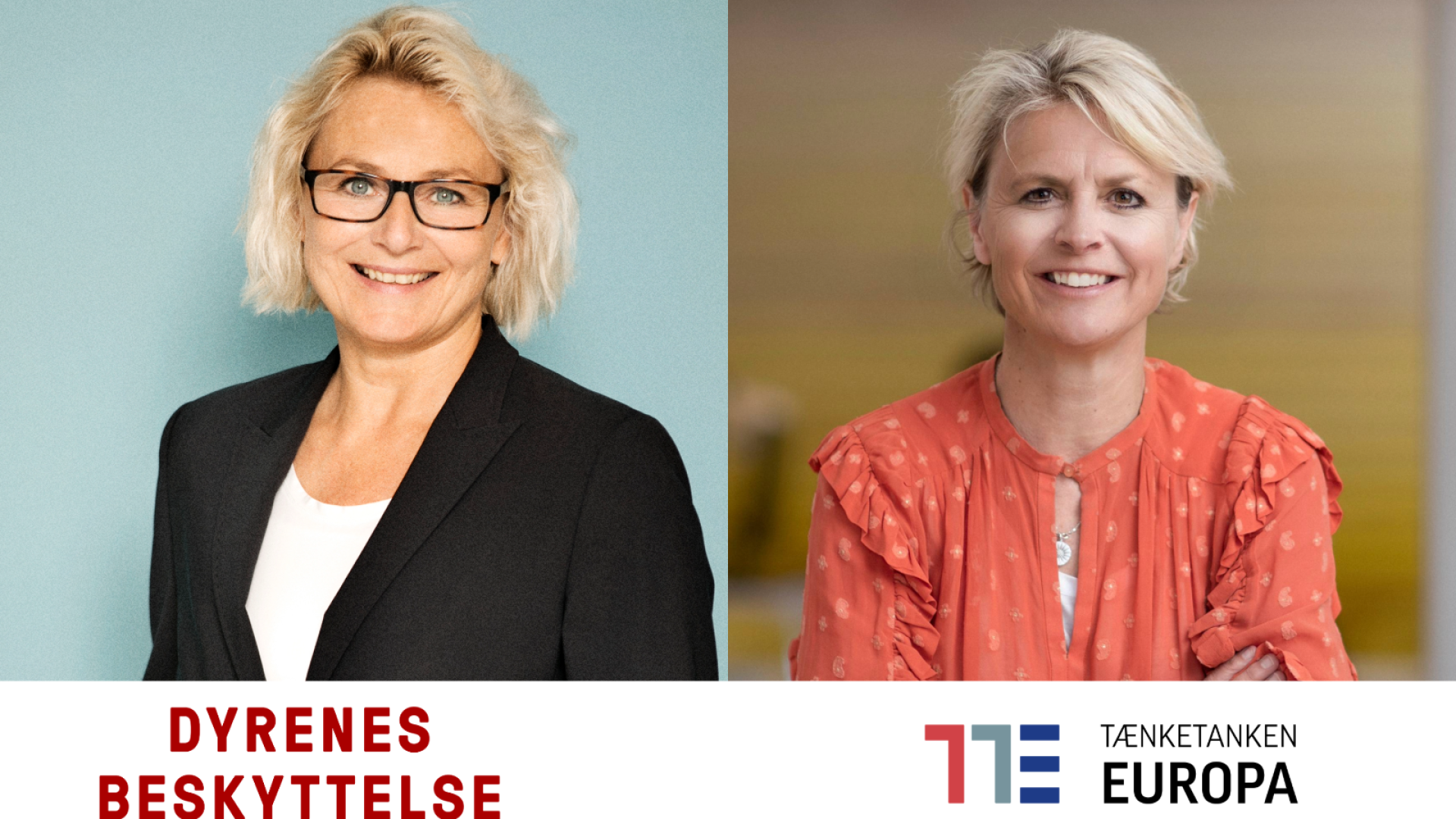 "Sammen om at løfte den grønne dagsorden". Sådan lyder overskriften på det løbende medlemskab, som Dyrenes Beskyttelse har indgået med Tænketanken EUROPA.