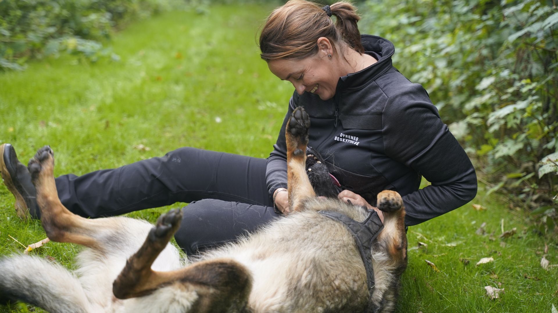 Kvinde med schæferhund, der ligger på ryggen