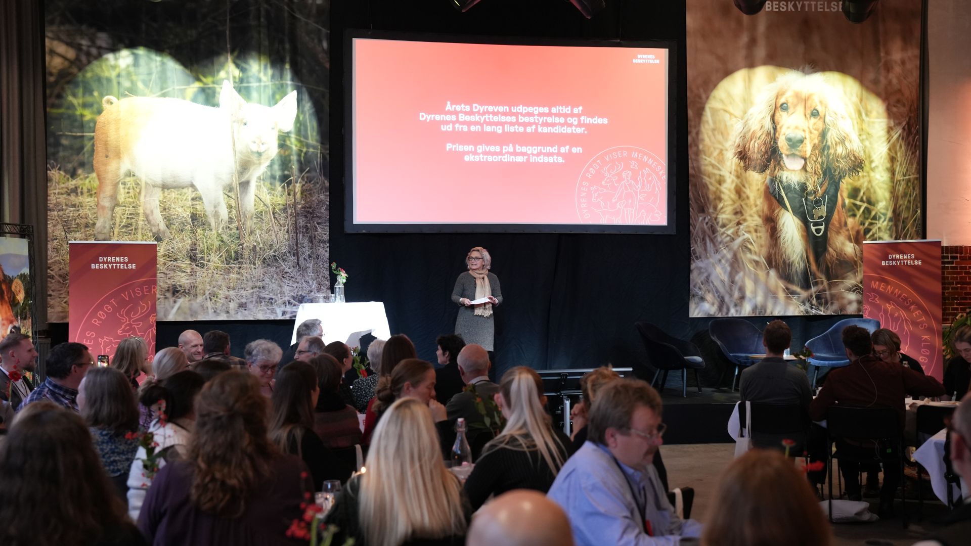 kvinde står på scene i gråt tøj og bud