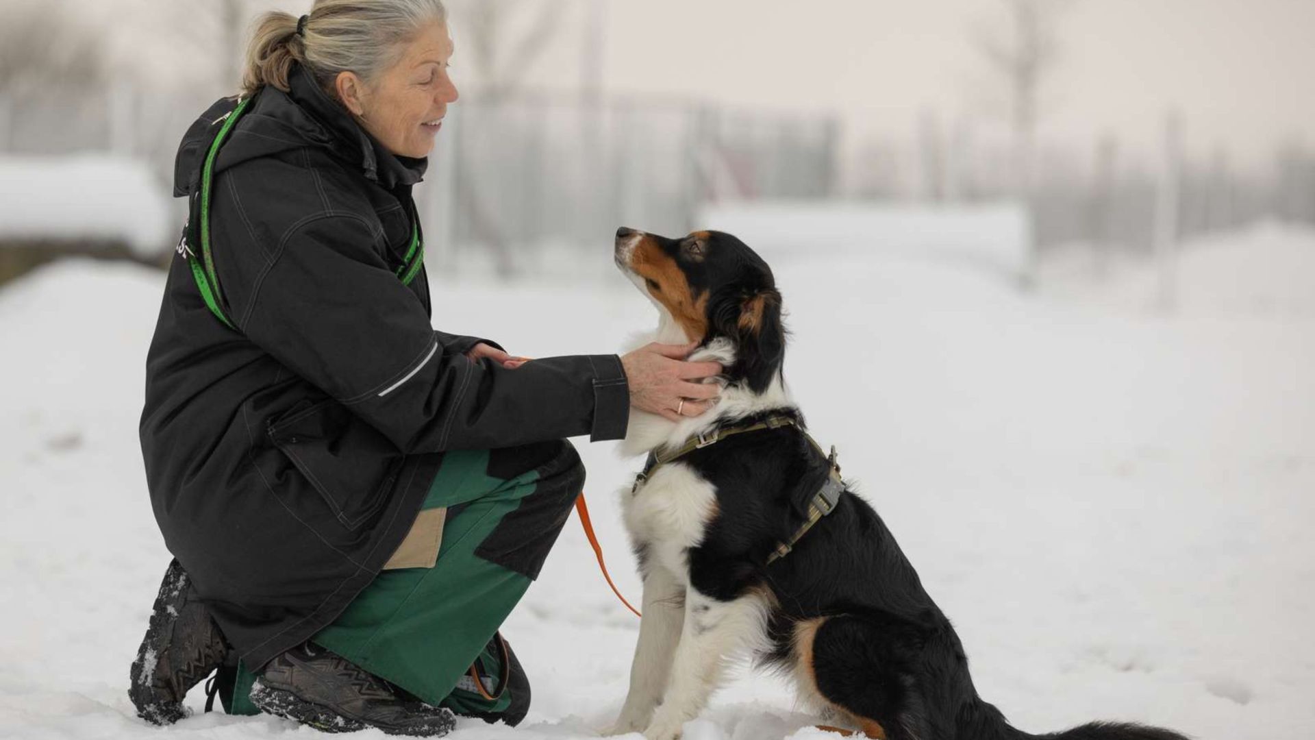 Hunden Tilde får klap af en trofast dyrebeskytter på Roskilde Internat. Foto: Camilla Johannessen. Hund bliver kløet på halsen af en dame, imens de sidder i sneen