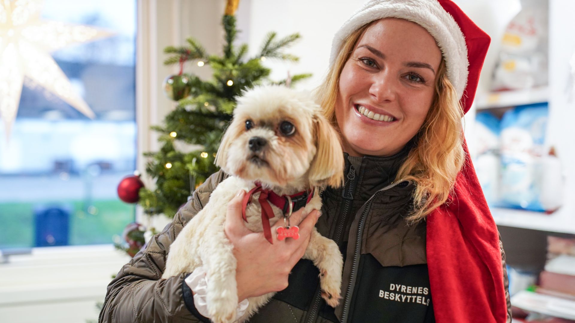 Clara med hund - Kvinde i nissehue smiler og holder en lille hvid hund i favnen foran et juletræ.