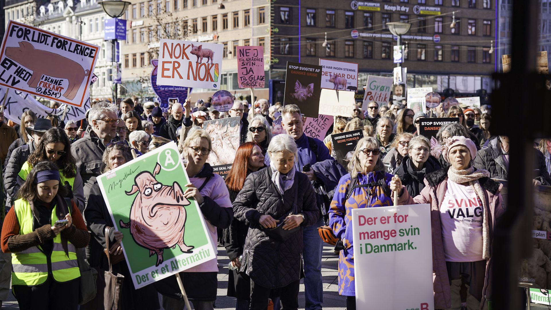Billeder fra svinedemo