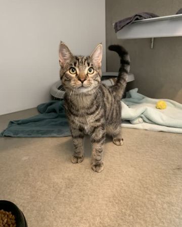 Logan
