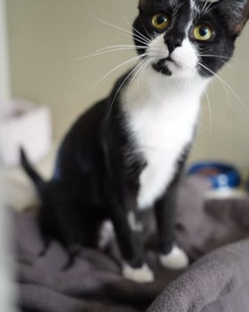 Freja