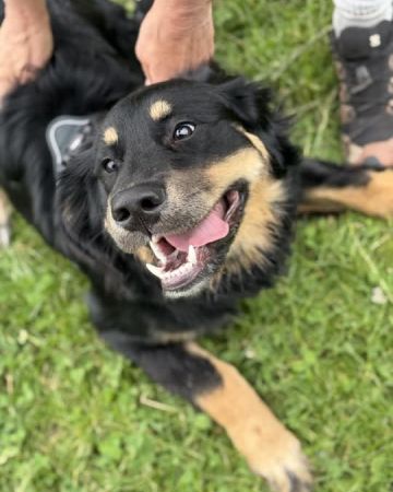 Berta