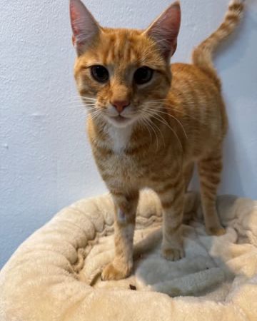 Sebastian