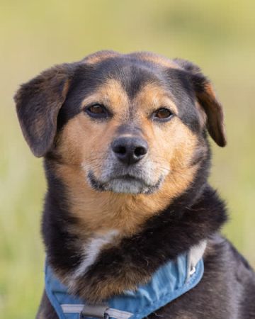 Max
