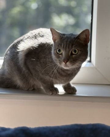 Marley