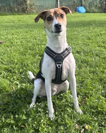 Charlie