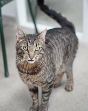 Kenai