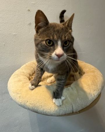 Max