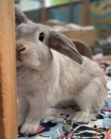 Winnie