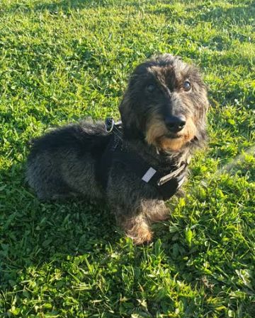 Ellie