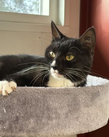 Abby