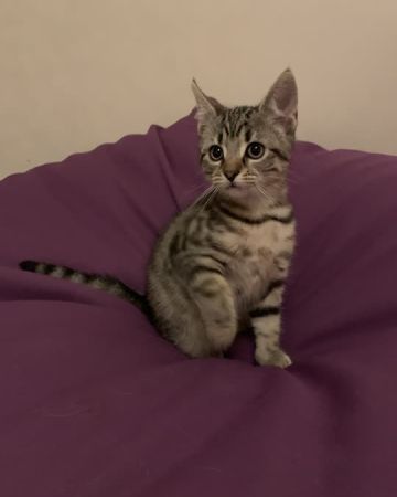 Nora