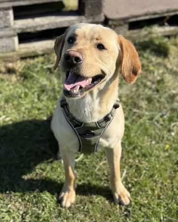 Max