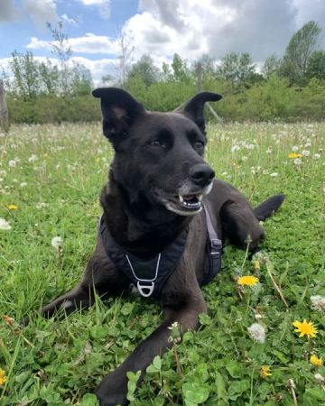 Wilma