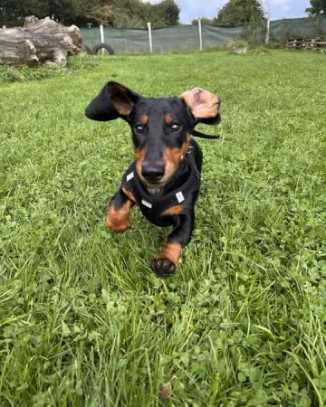 Charlie