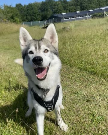Luna
