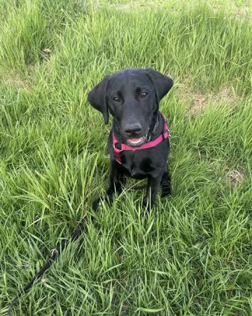 Ellie