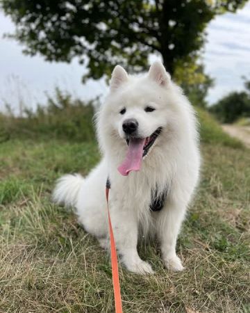 Bobby