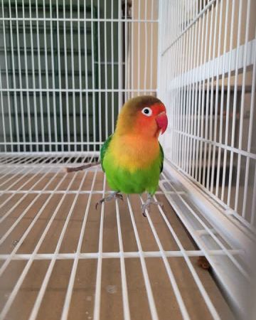 Ry