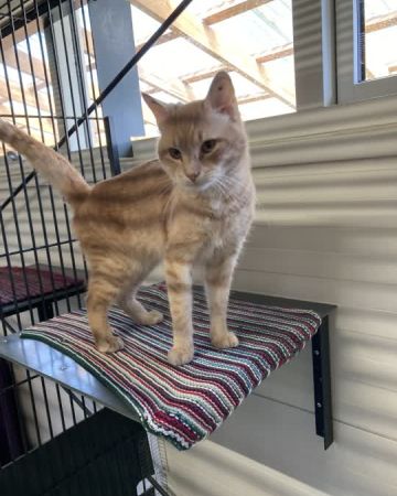 Darwin