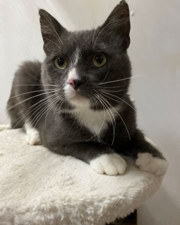 Milo