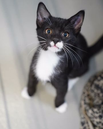 Erik
