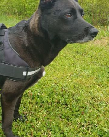 Wilma