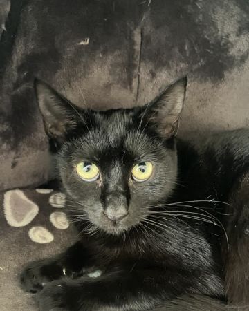 Fiona