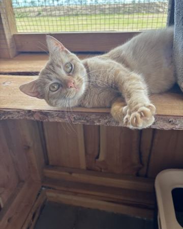 Berta